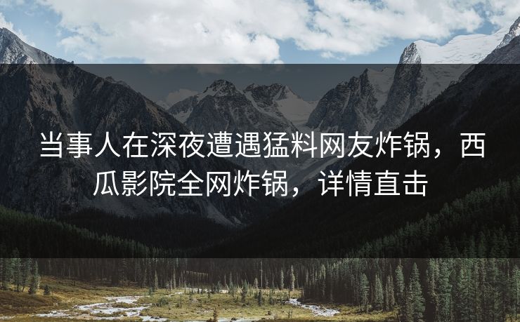 当事人在深夜遭遇猛料网友炸锅，西瓜影院全网炸锅，详情直击