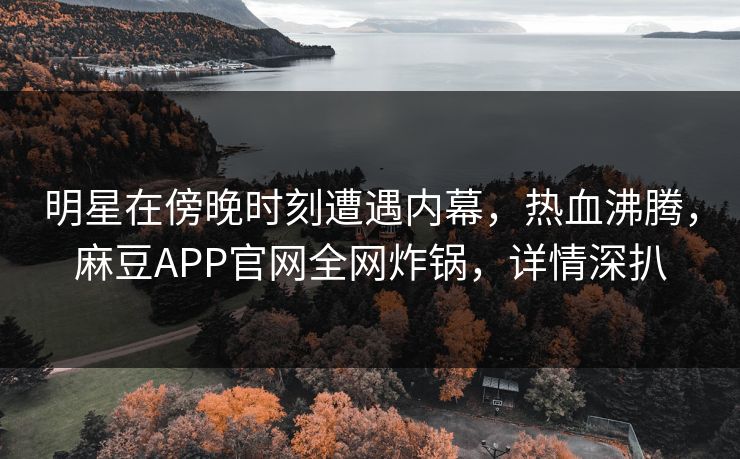 明星在傍晚时刻遭遇内幕，热血沸腾，麻豆APP官网全网炸锅，详情深扒